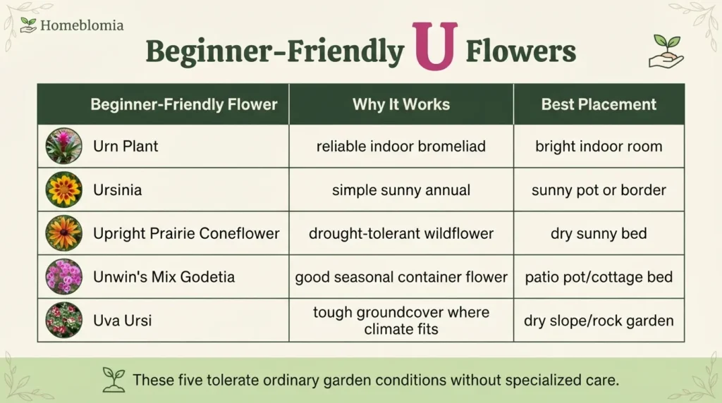 Beginner-Friendly U Flowers