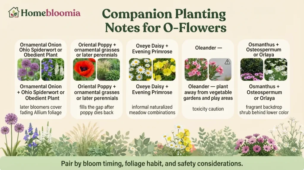 Companion Planting Notes