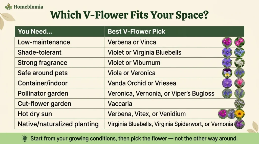 Decision Helper Which V-Flower Fits Your Space