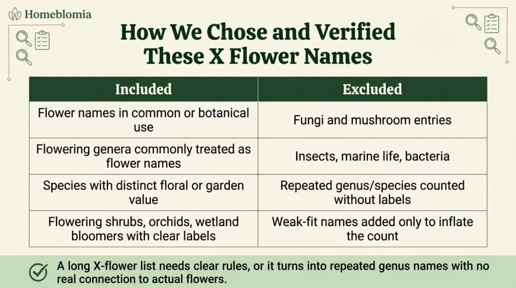 How We Chose and Verified These X Flower Names