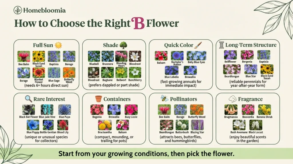 How to Choose the Right B Flower