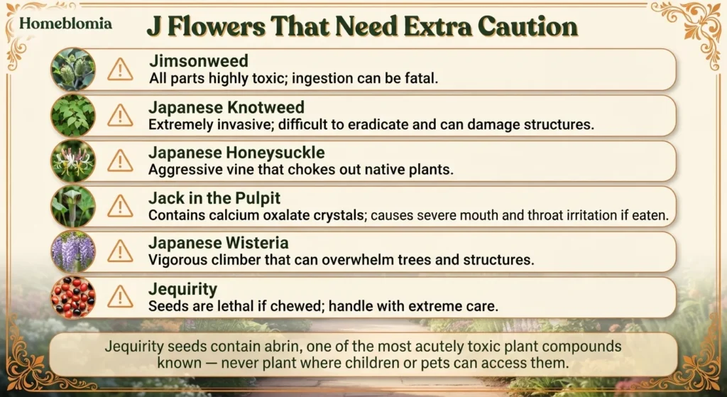 J Flowers That Need Extra Caution
