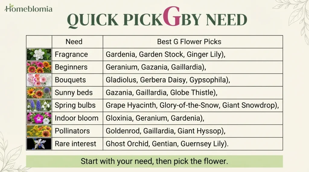 Quick Picks by Need