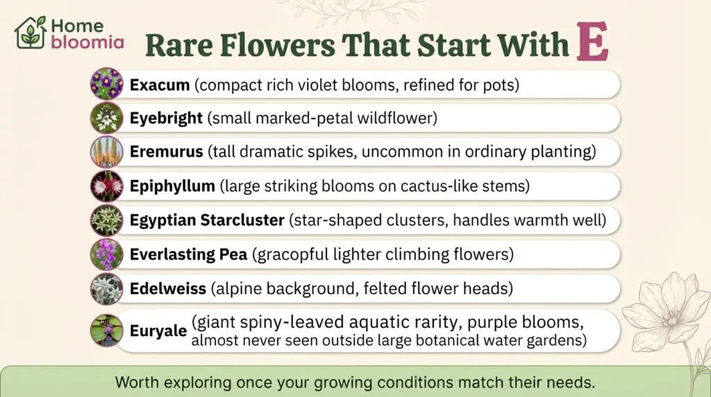 Rare Flowers That Start With E