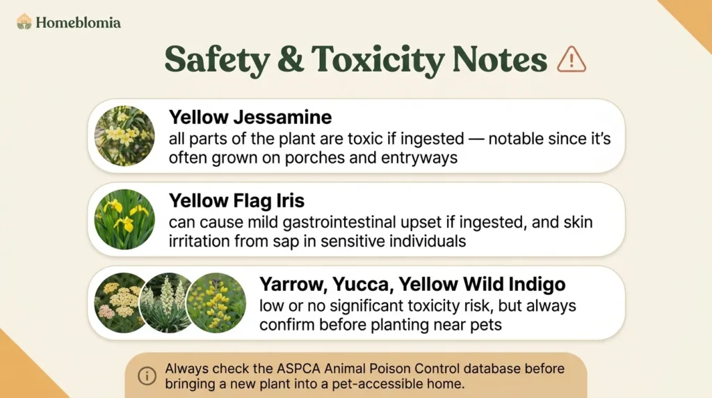 Safety & Toxicity Notes
