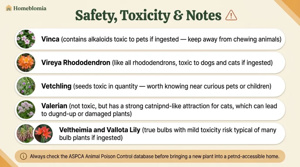 Safety, Toxicity & Notes