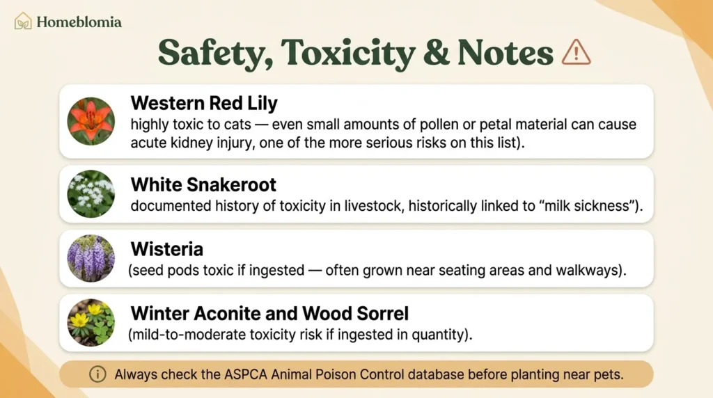 Safety, Toxicity & Notes