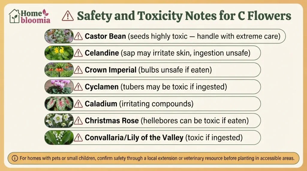 Safety and Toxicity Notes for C Flowers