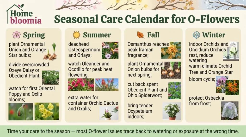 Seasonal Care Calendar