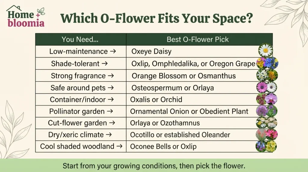 Which O-Flower Fits Your Space