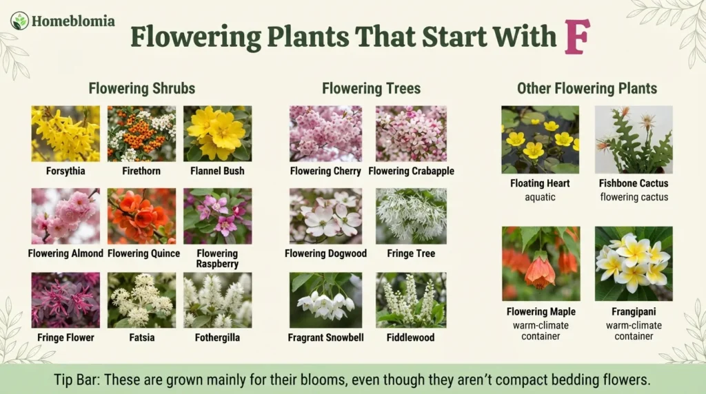 Flowering Plants That Start With F
