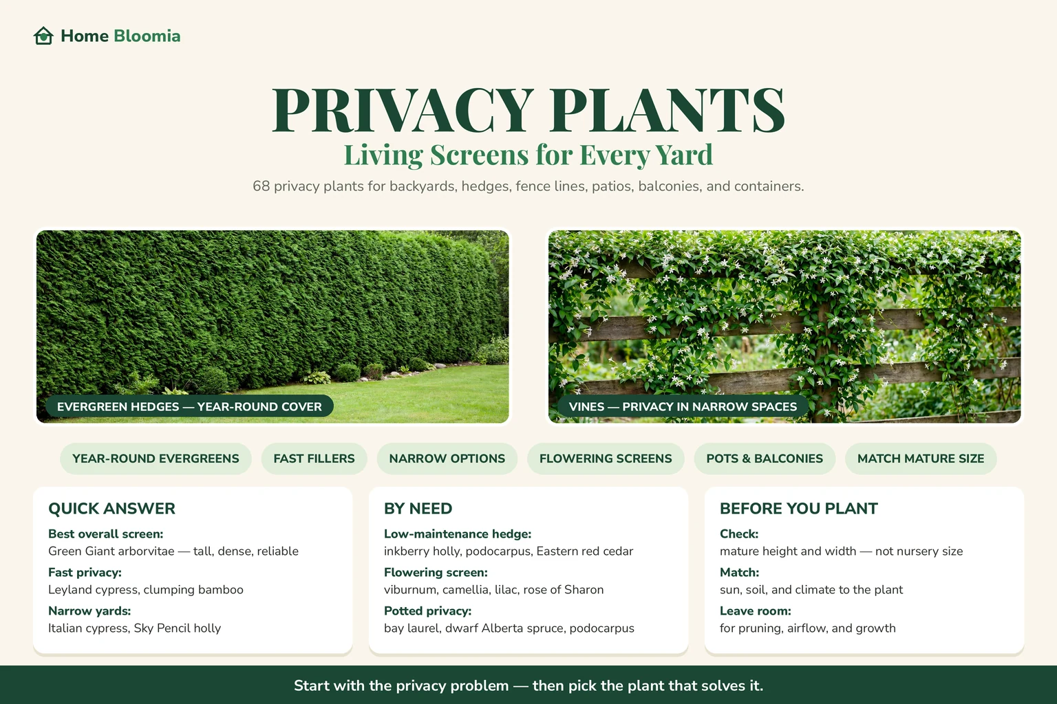 Best Privacy Plants