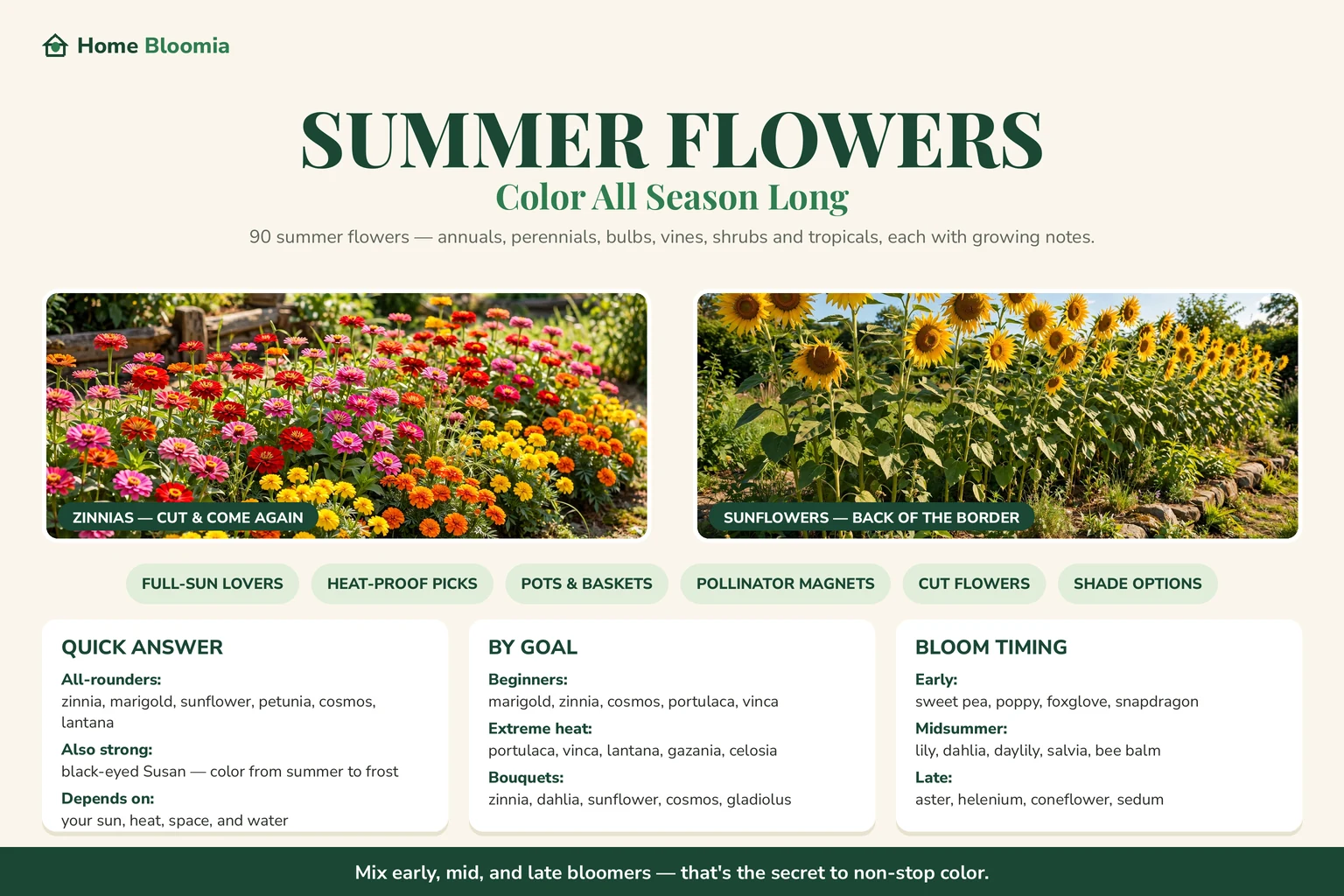 Summer Flowers that bloom