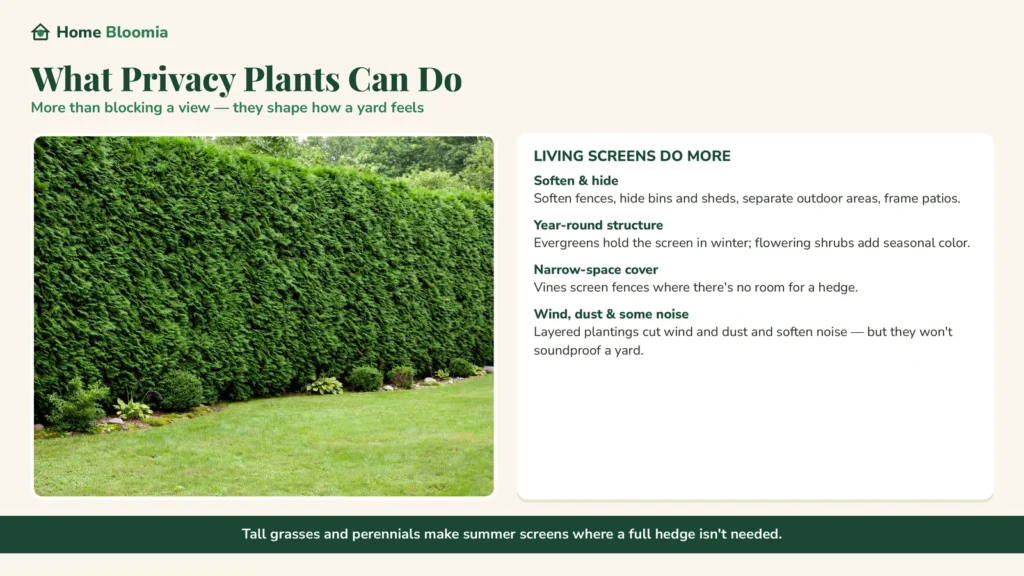 what privacy plants can do
