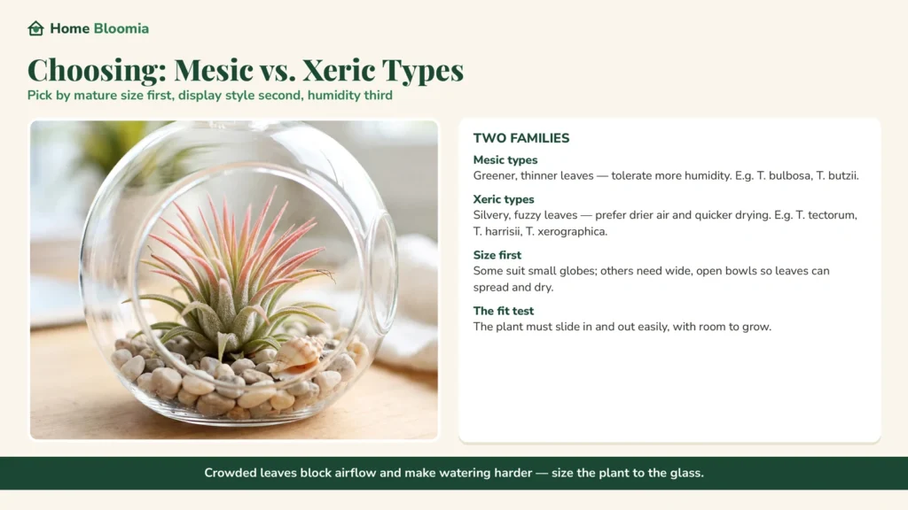 hoosing mesic vs xeric