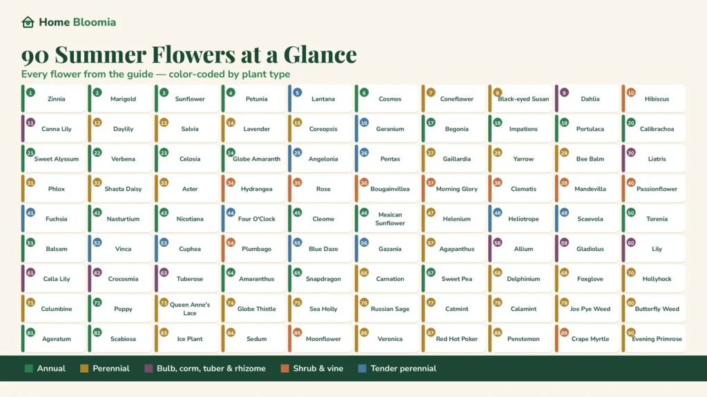 90 Summer Flowers