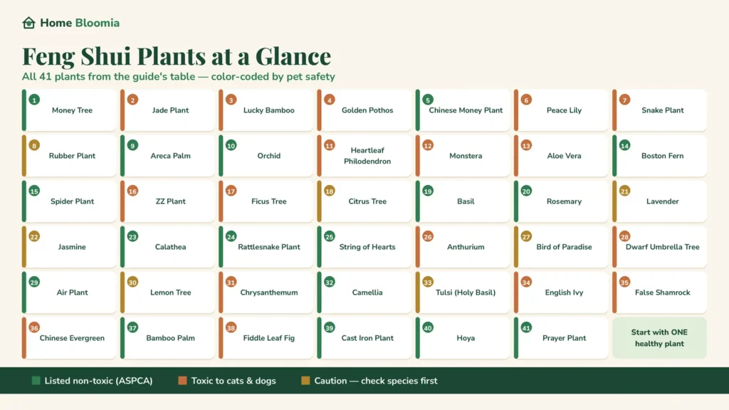 plants at a glance