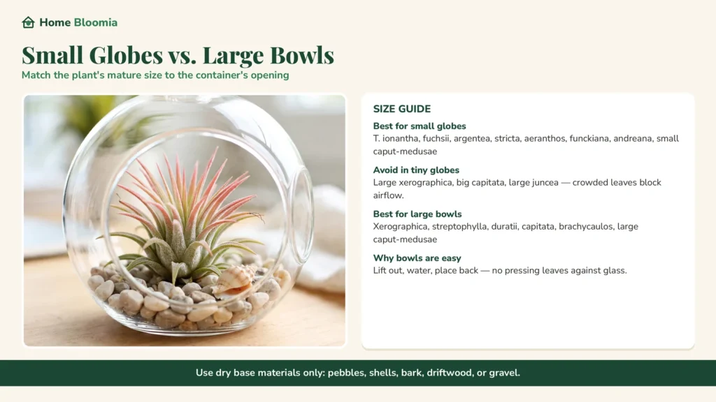 small vs large