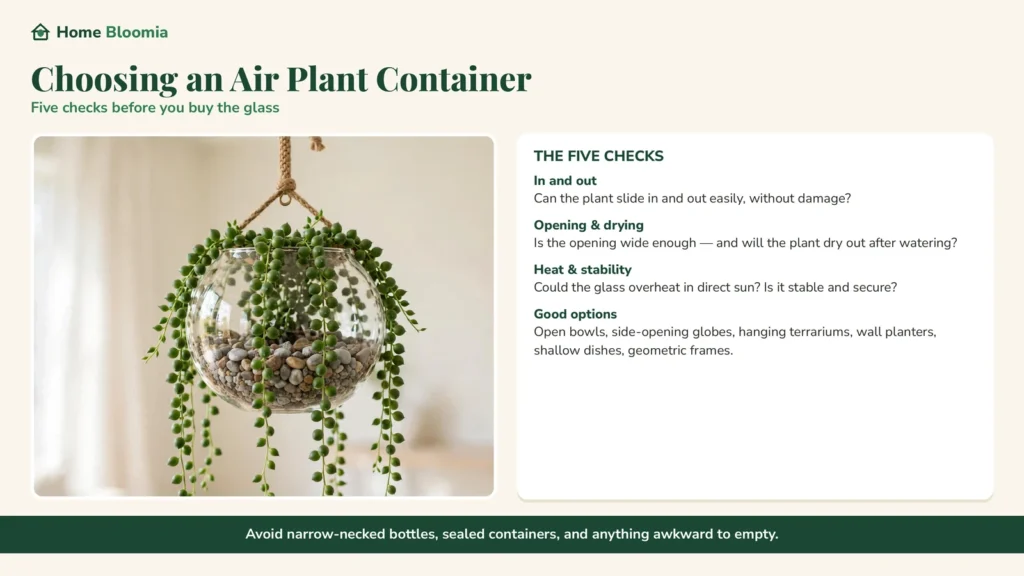 choosing a container