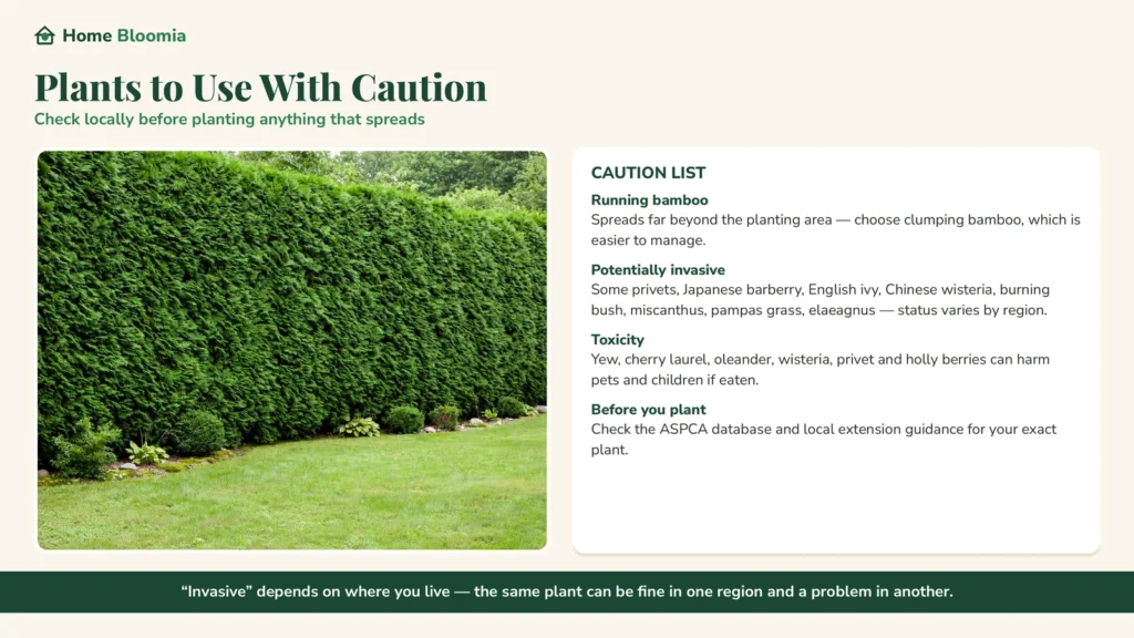 Plants to Use With Caution